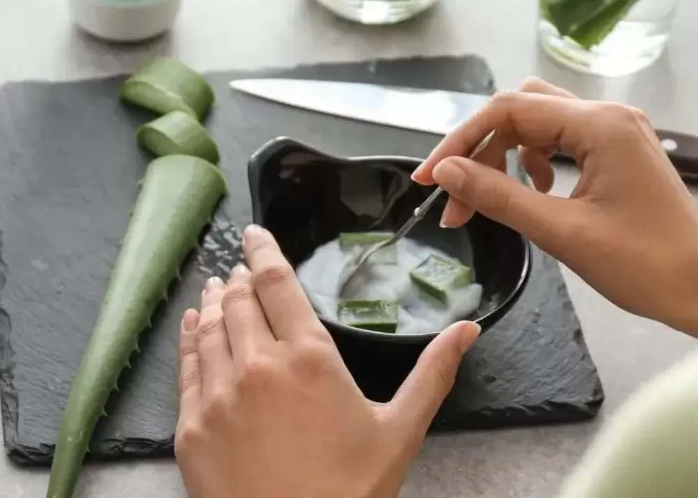 Can We Use Aloe Vera Oil For Hair? Know Its Benefits And Side-Effects