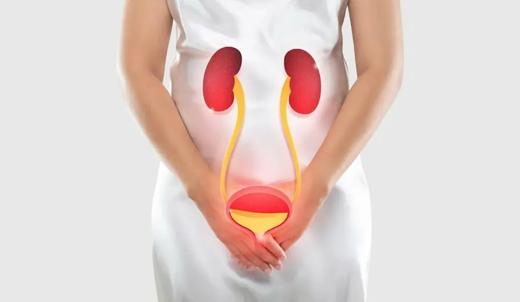 Urinary Tract Infection Increases In Monsoon, Know how UTI happens and how to prevent it