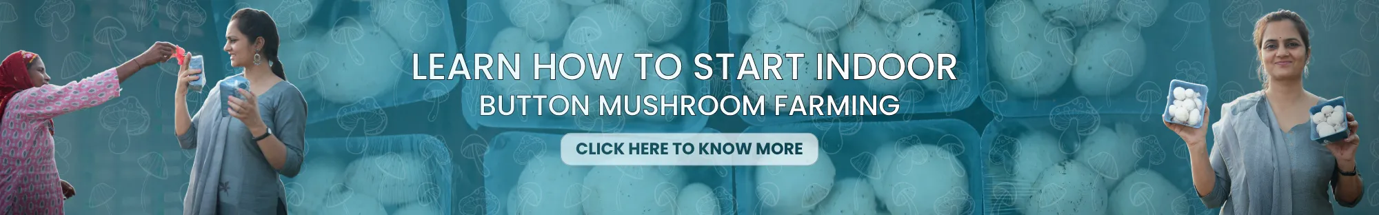 Learn How to Start Indoor Button Mushroom Farming Click Here to Know More (2)