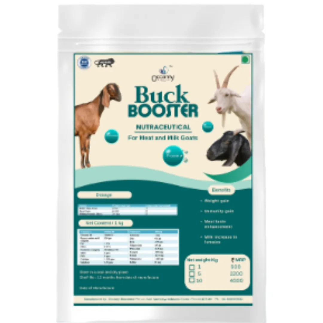 BuckBooster