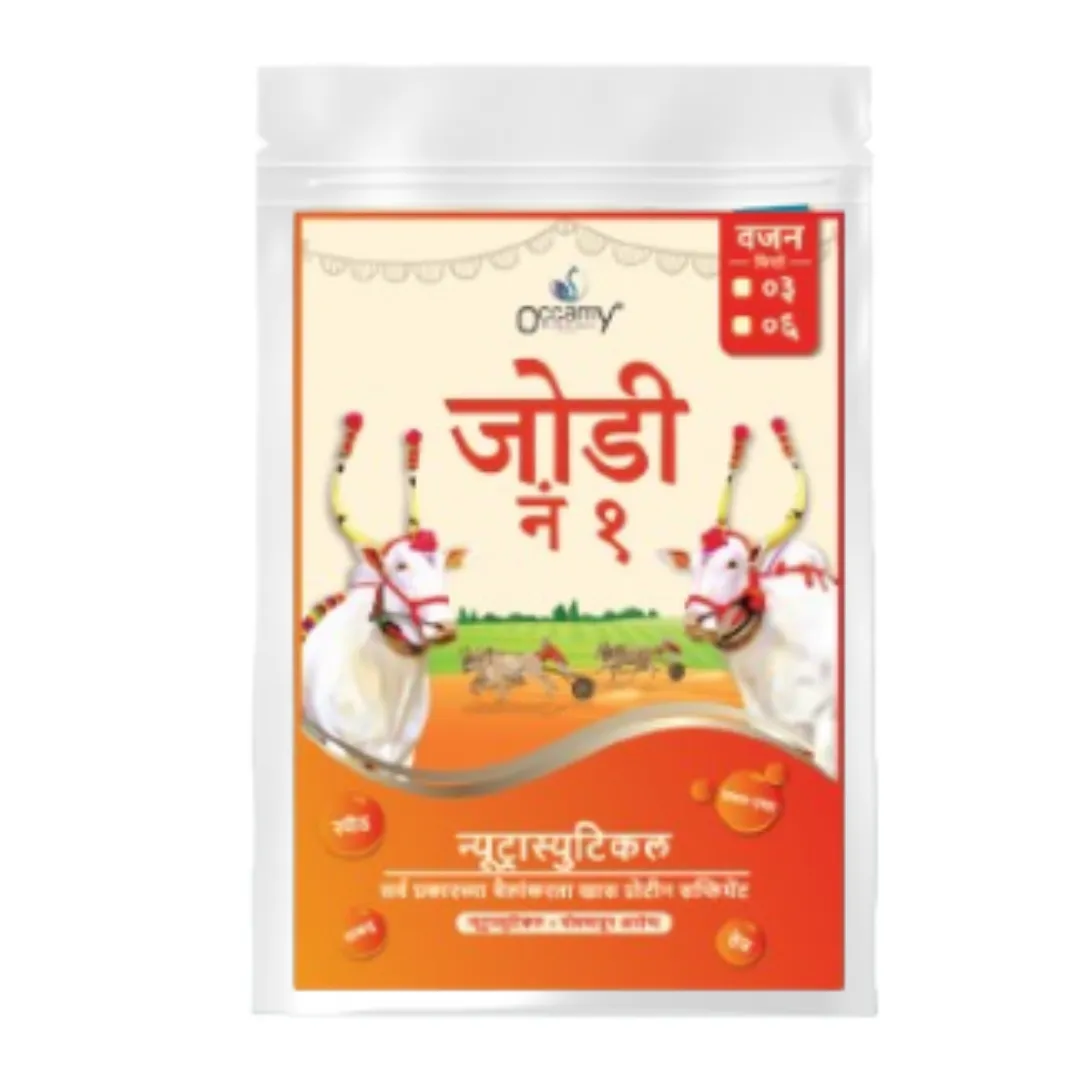 Jodi No. 1