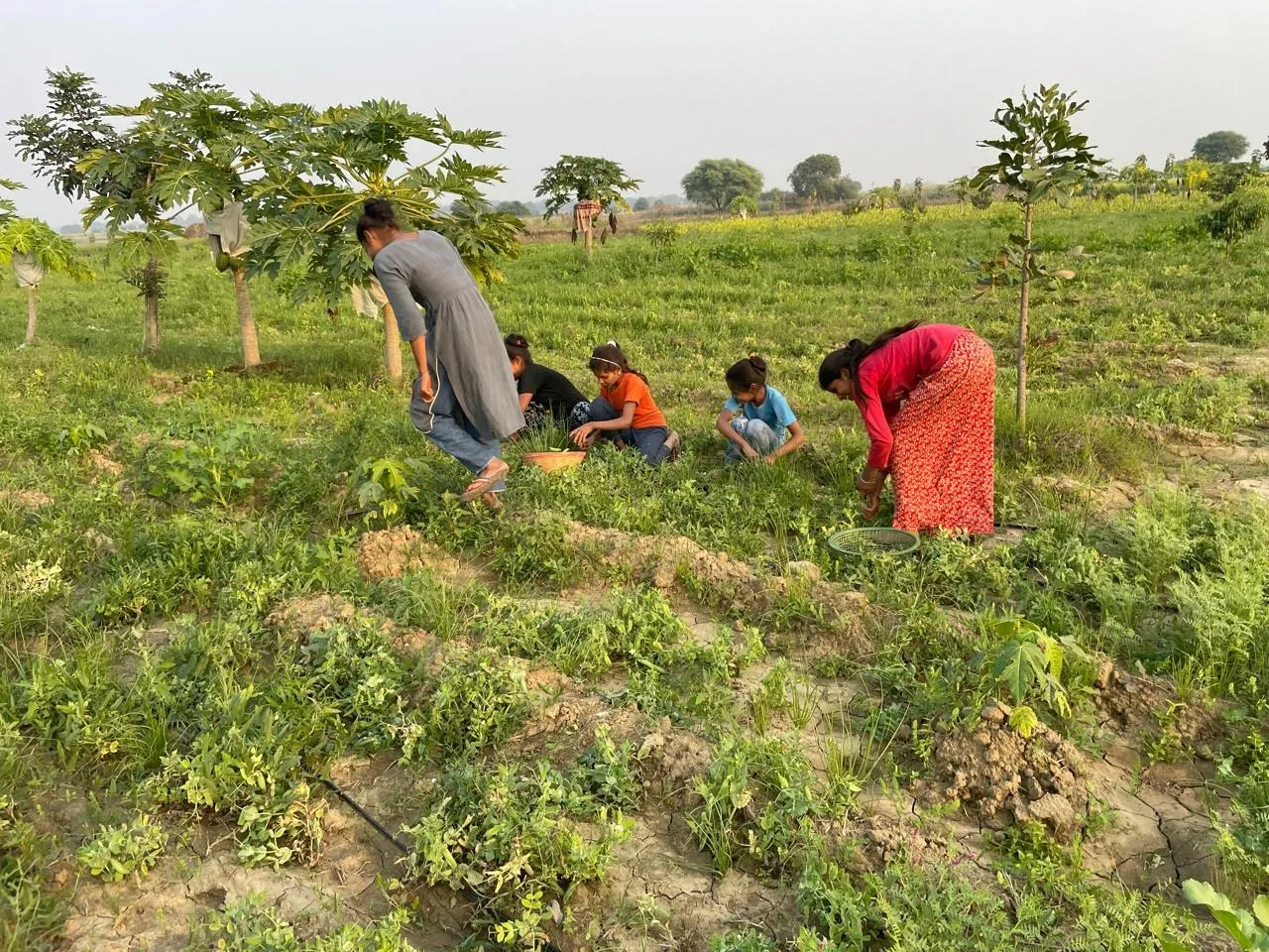Tuhi Farms team working on the ground