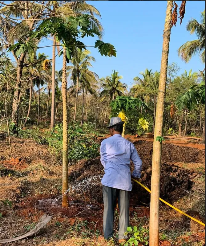 A View of Rasraj Goa Farms