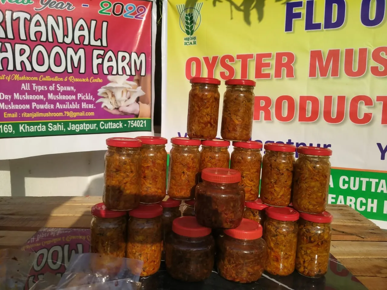 A glimpse of Mushroom pickles, prepared by Ritanjali Mushroom