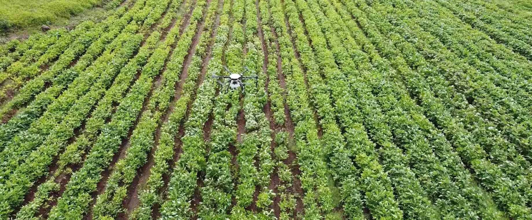 An aerial view of the Indian Farmer farm