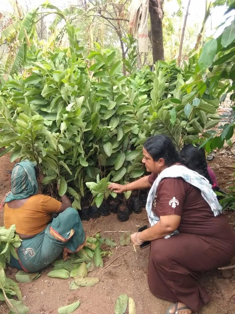 Kavita is inspecting her produce at the farm