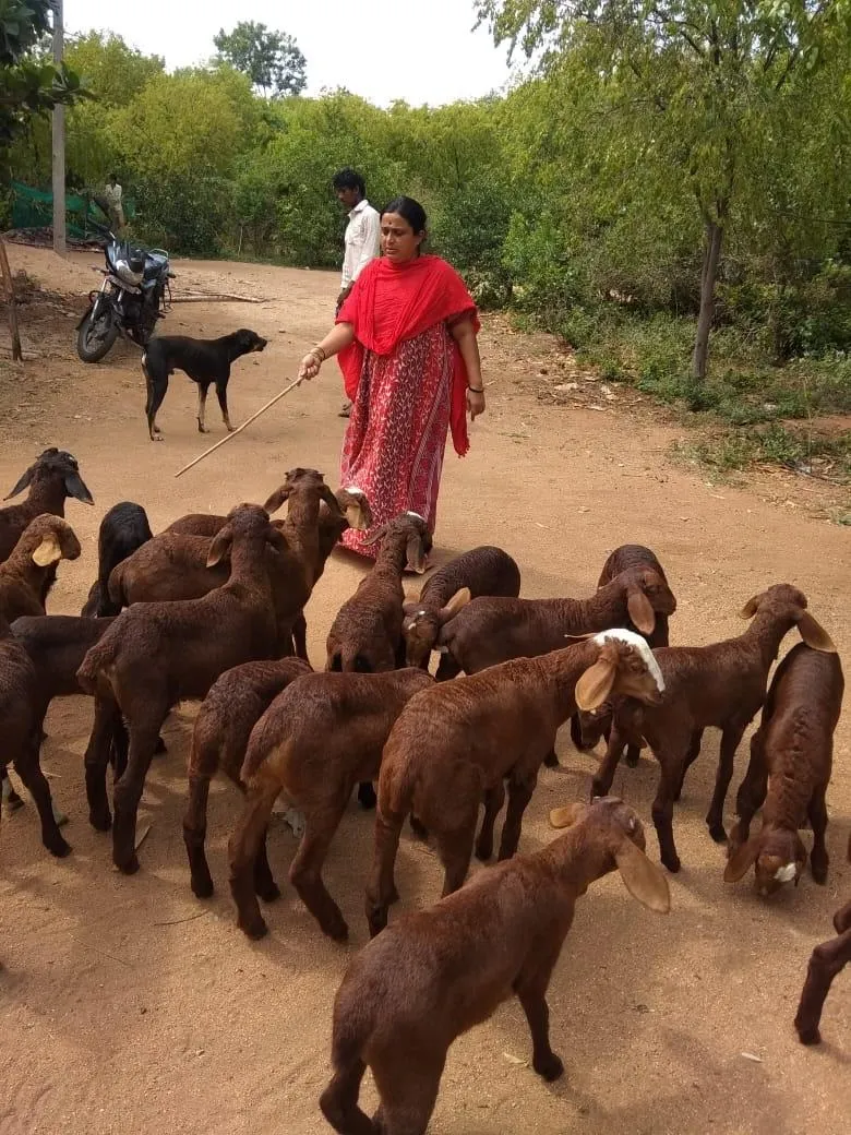 Kavita with her livestock at the farm