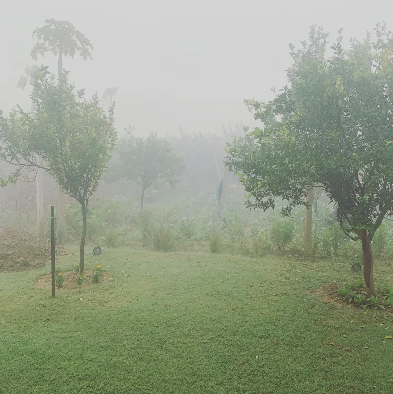 A glimpse of Tijara Organic Farm