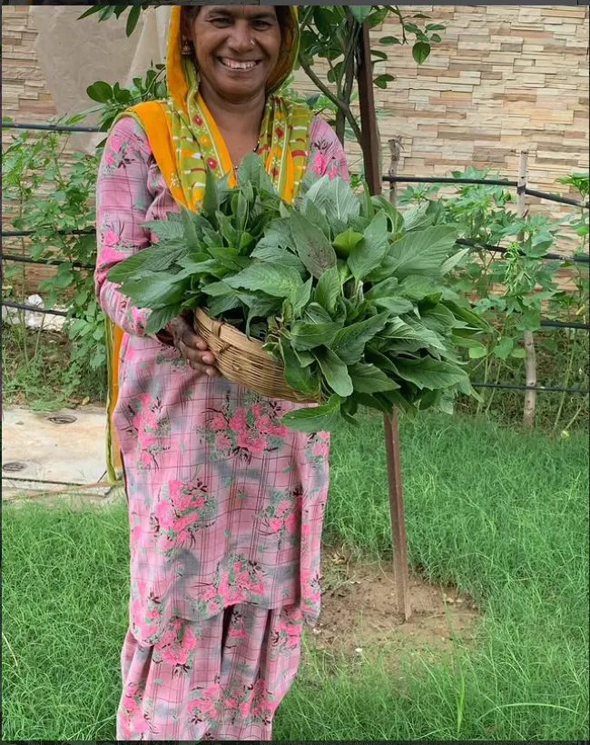 A lady worker engaged in a farming task at Tijara Organic Farm