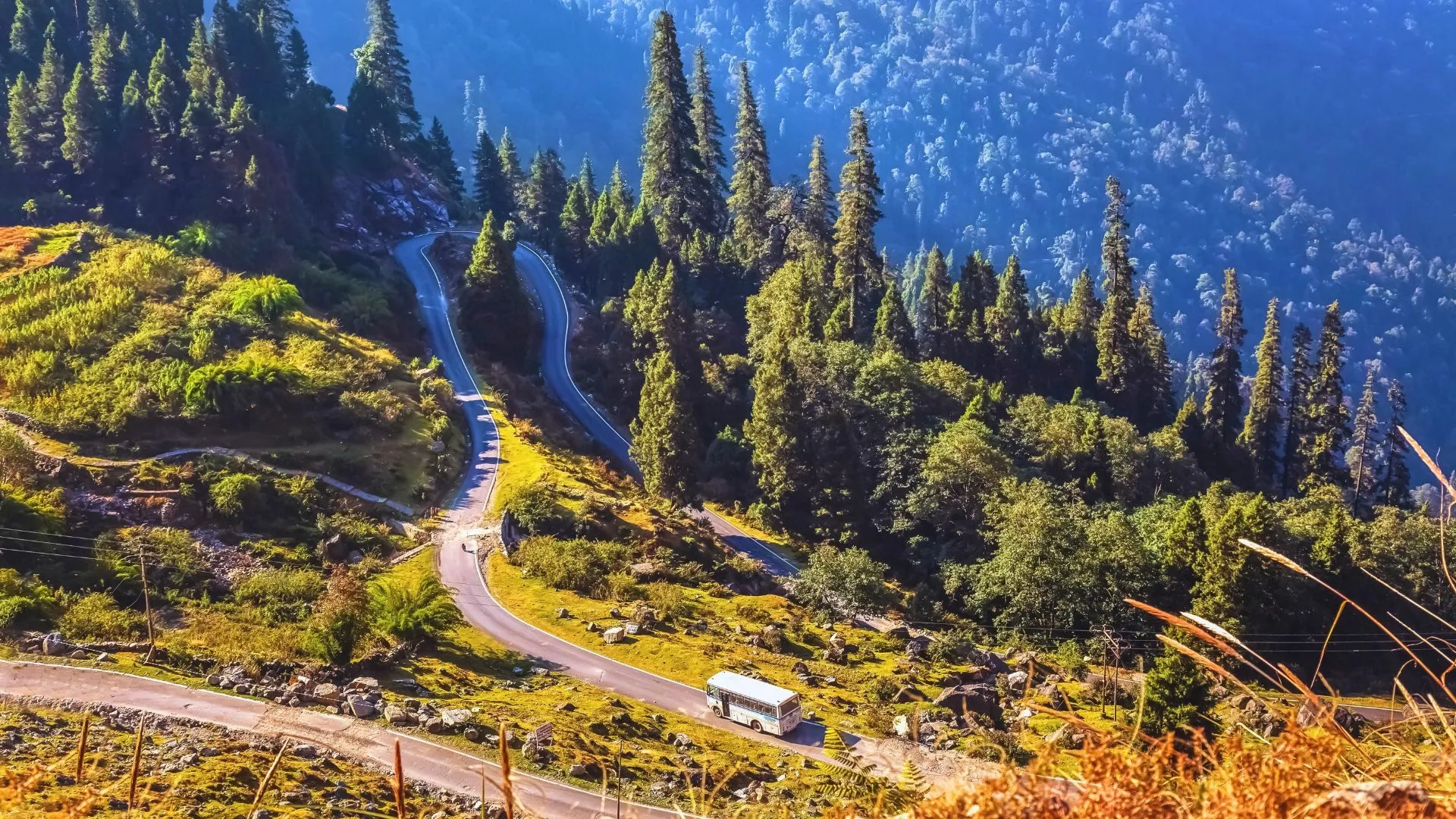 High altitude mountain road in Munsiyari