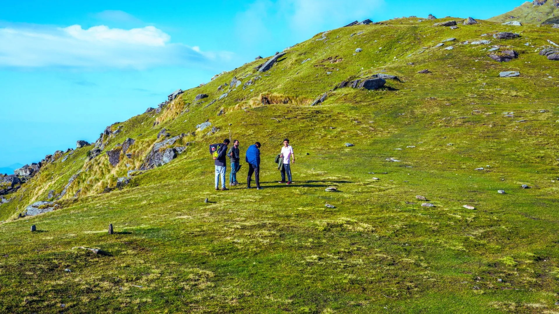 Khaliya Top meadow in Munsiyari