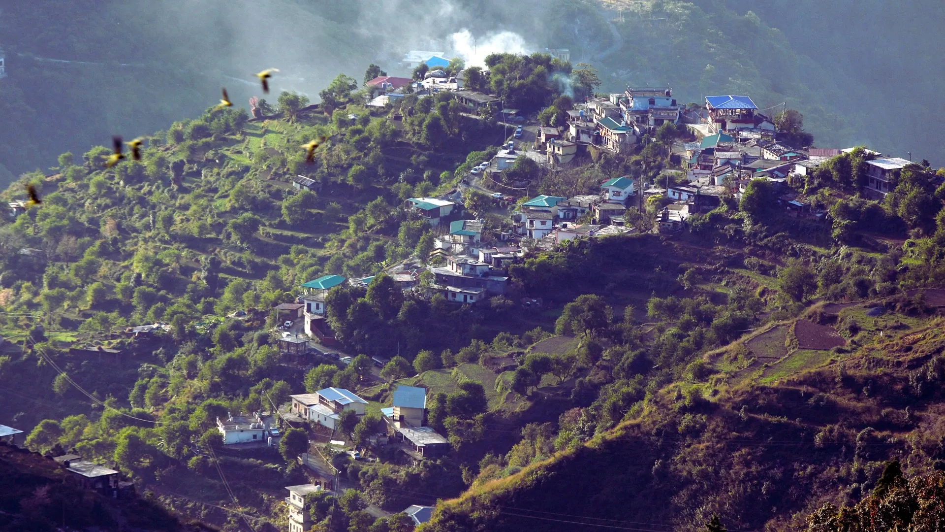 Amidst the dense forest cover, hotels and resorts have flourished