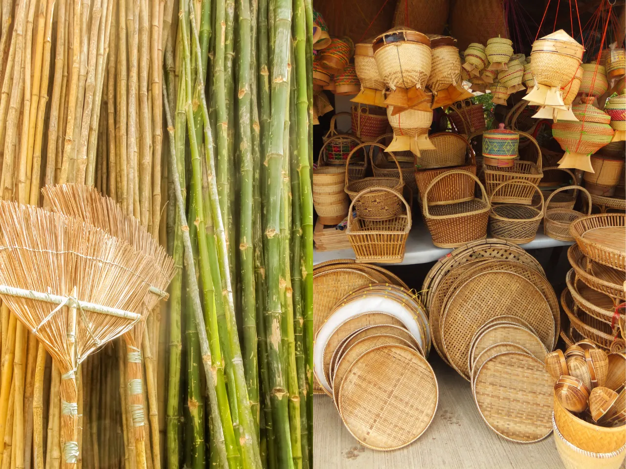 Bamboo Startup Story 2