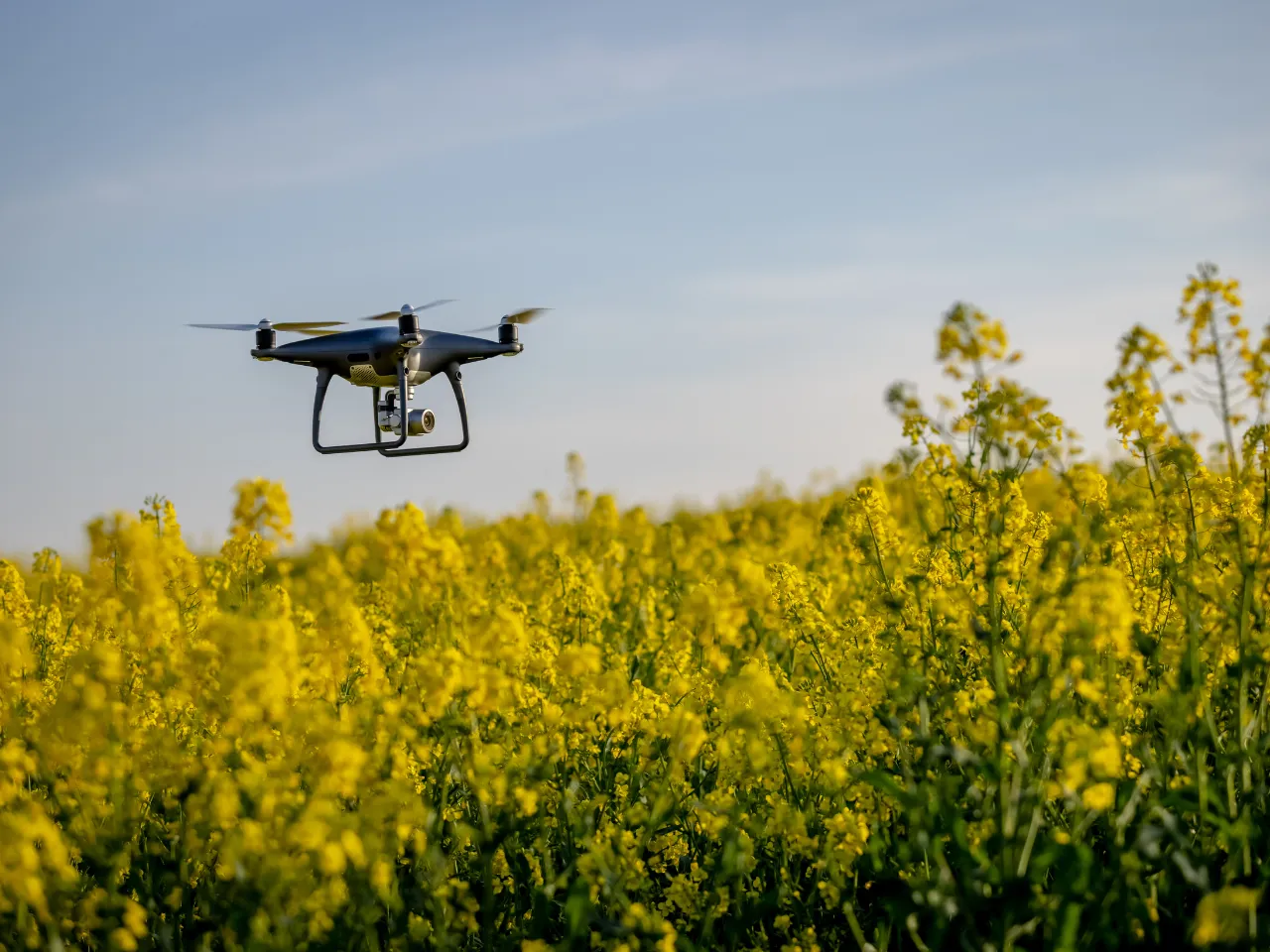 Drone in AgriTech