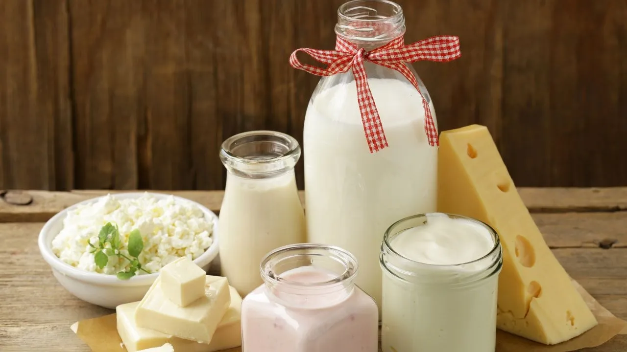Start a Dairy Products Business