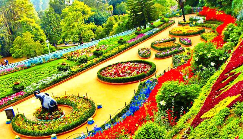 Ooty Tamilnadu