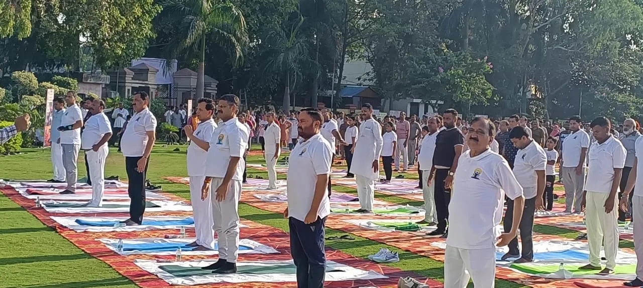 वाईवीएन