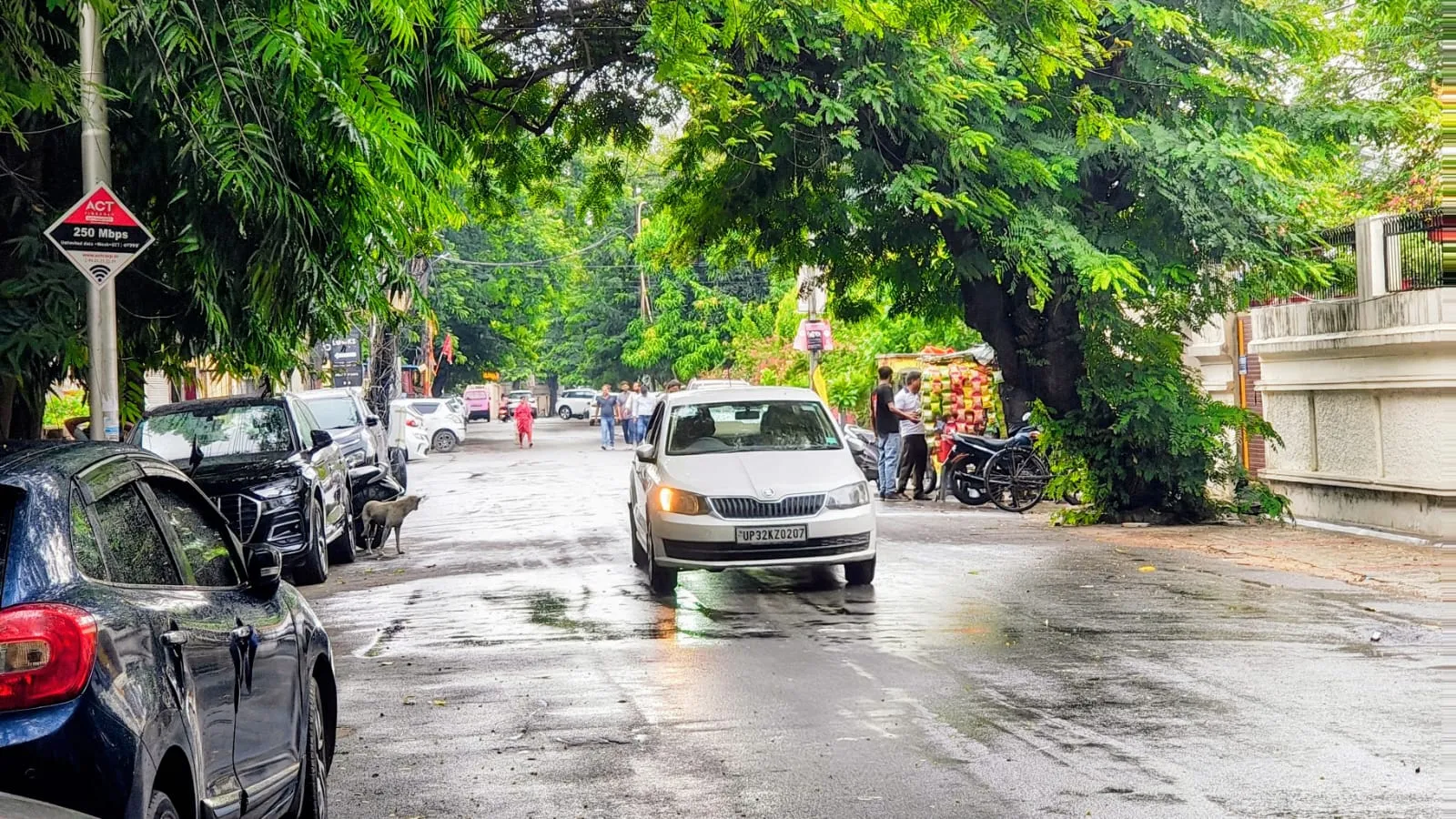 barish 2