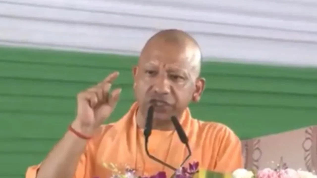 01 yogi