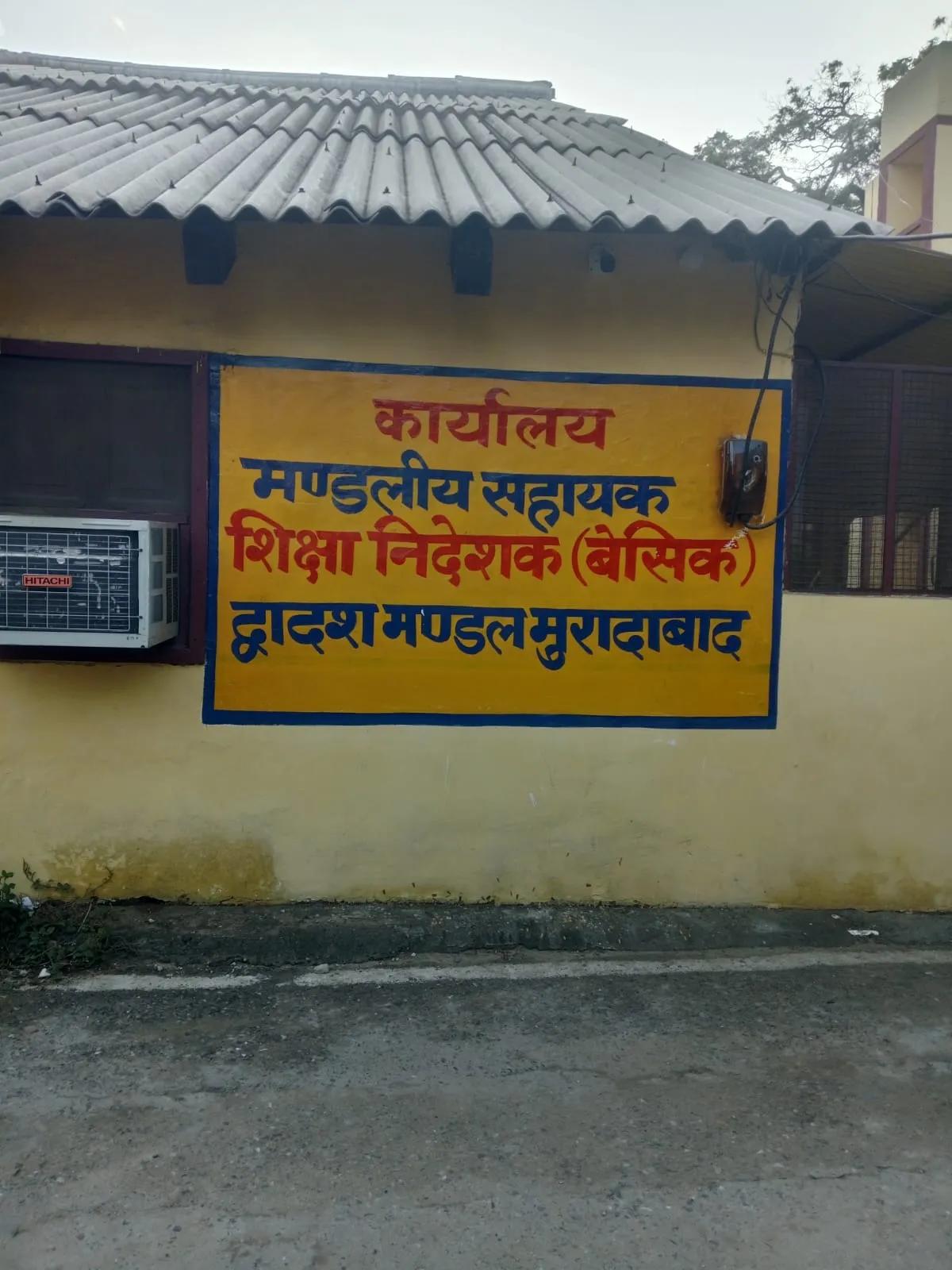 वाईवीएन