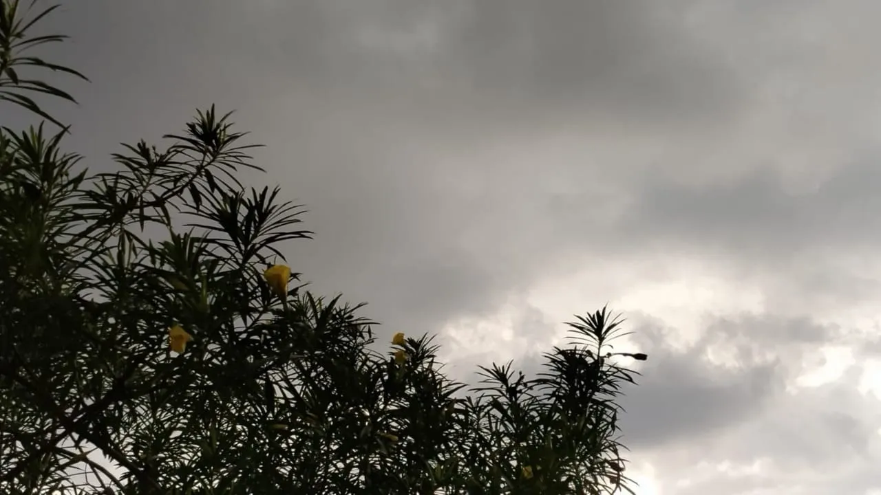badal (2)