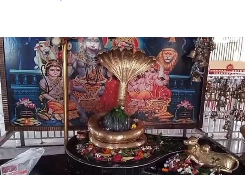 त्रिलोकीनाथ धाम में स्थापित शिवलिंग