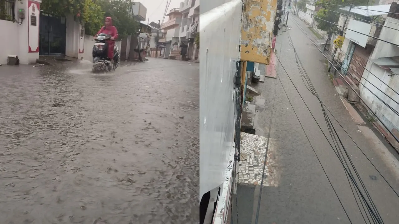 barish 12 a