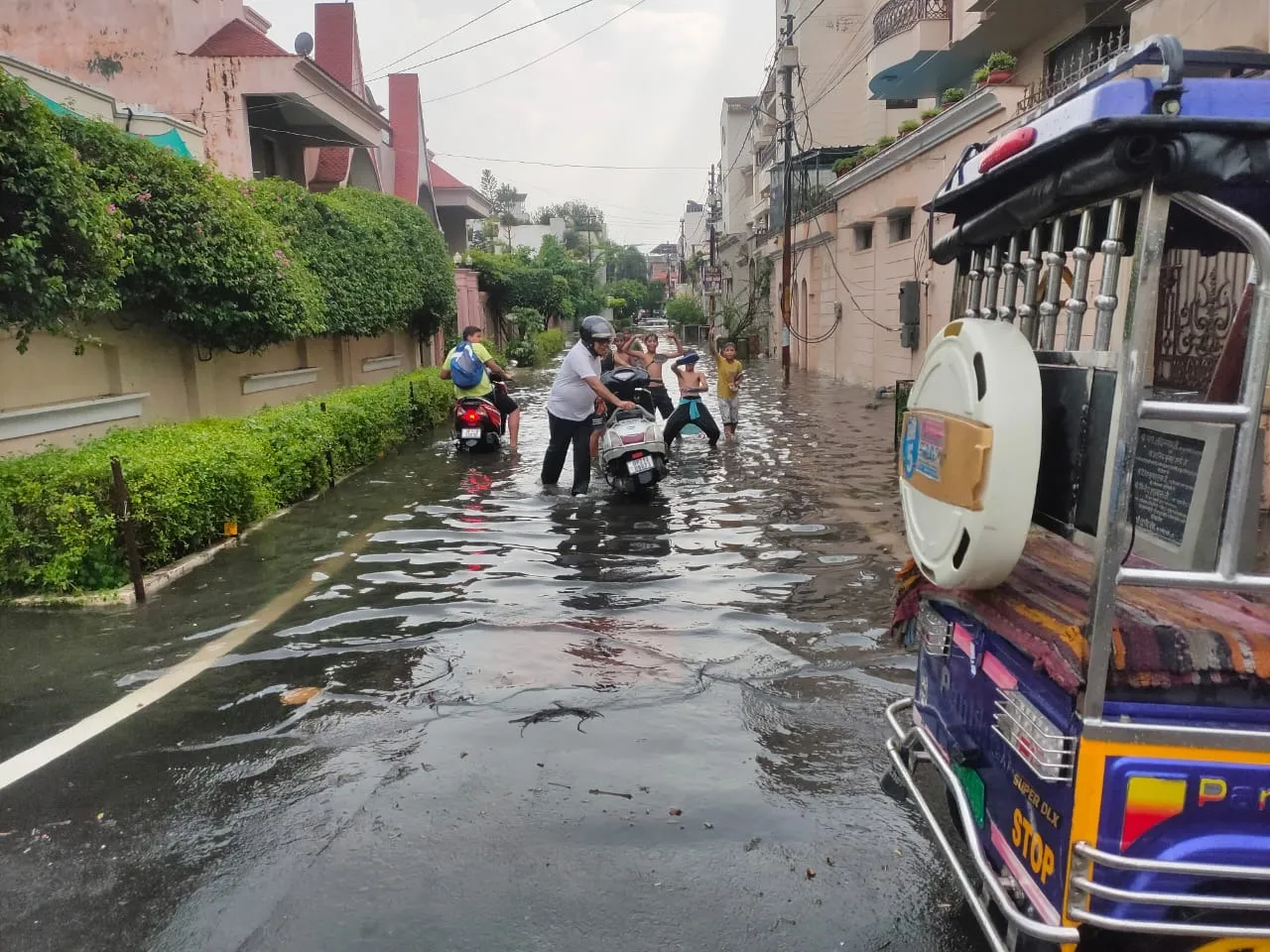 वाईवीएन
