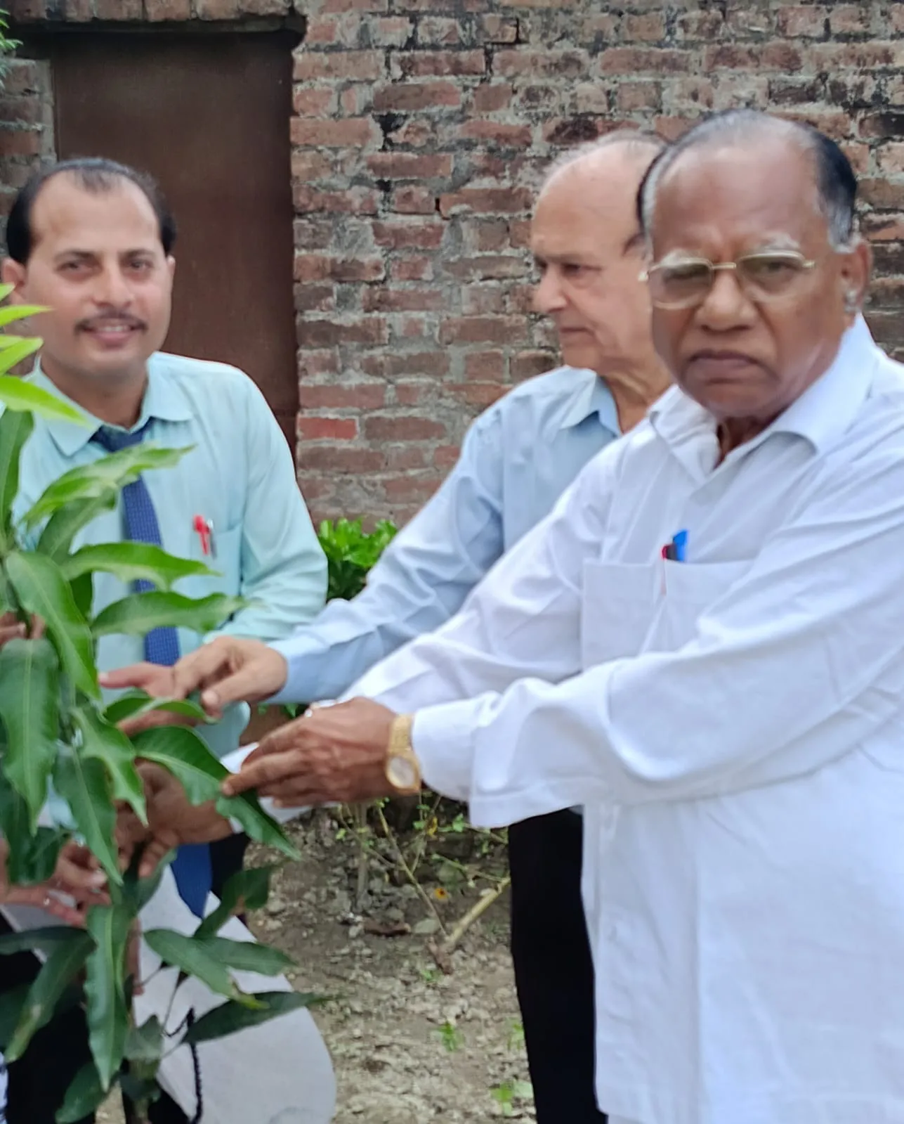 स्वामी विवेकानंद स्कूल में पौधारोपण करते प्रबंधक जीएस वर्मा