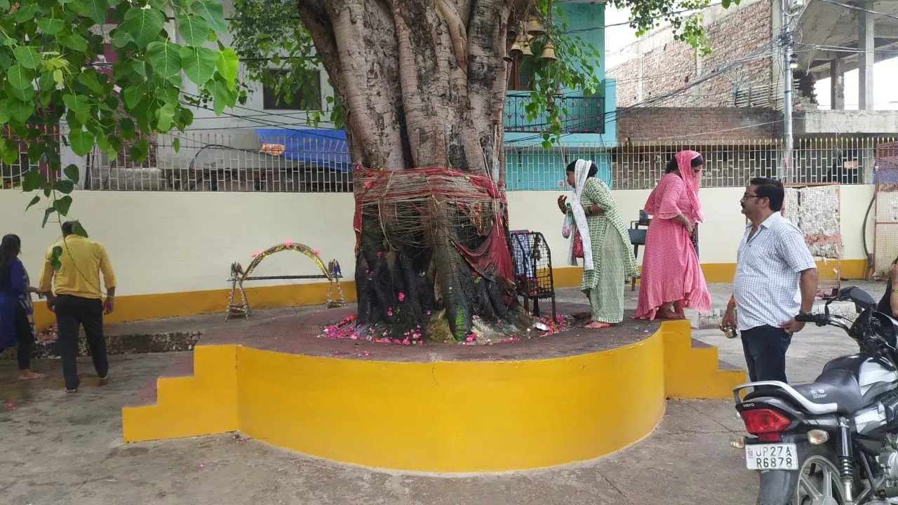 PIPAL