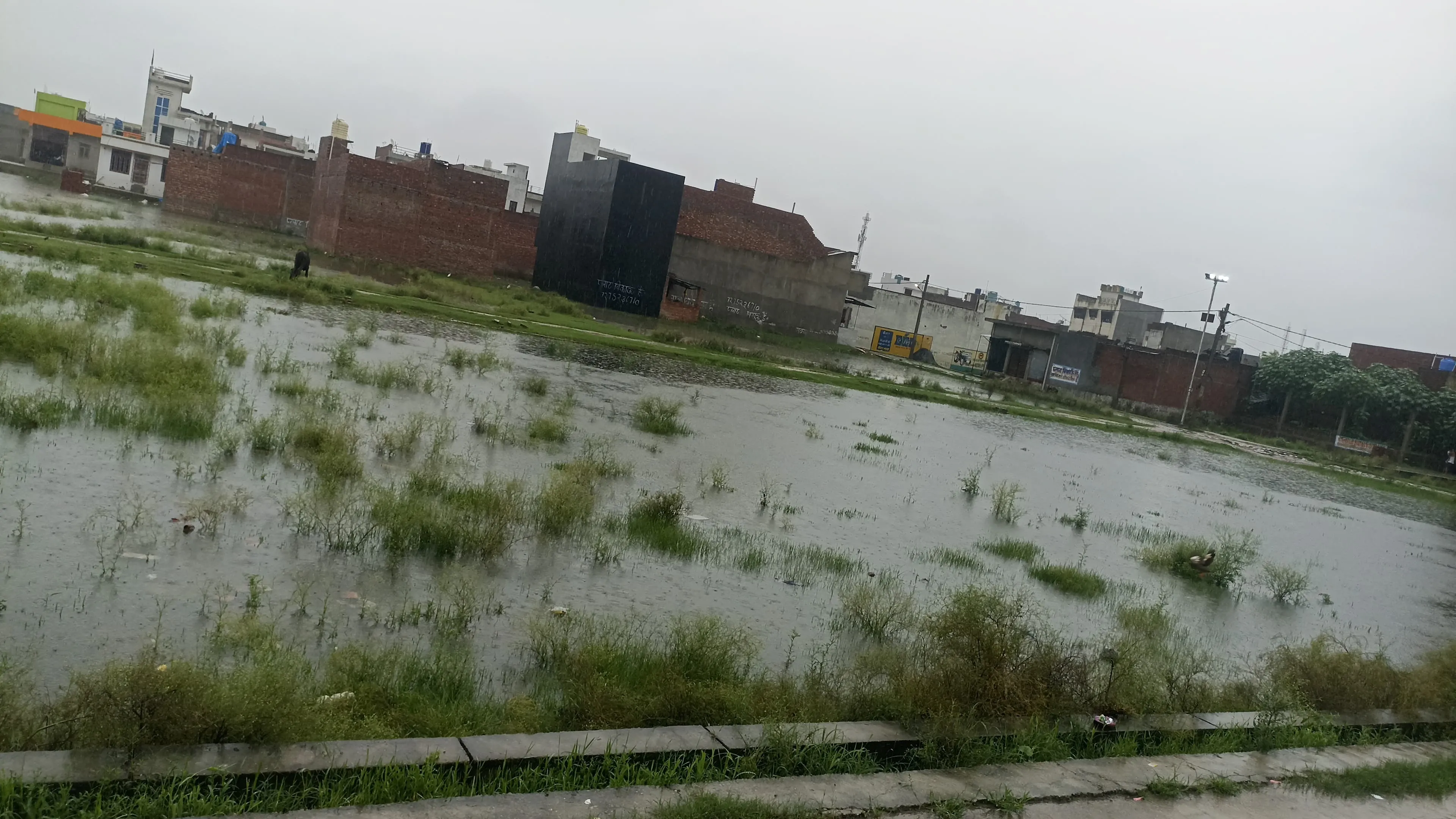 वर्षा के कारण बाढ प्रभावित शाहजहांपुर शहर के सुभाष नगर मुहल्ला में जलभराव