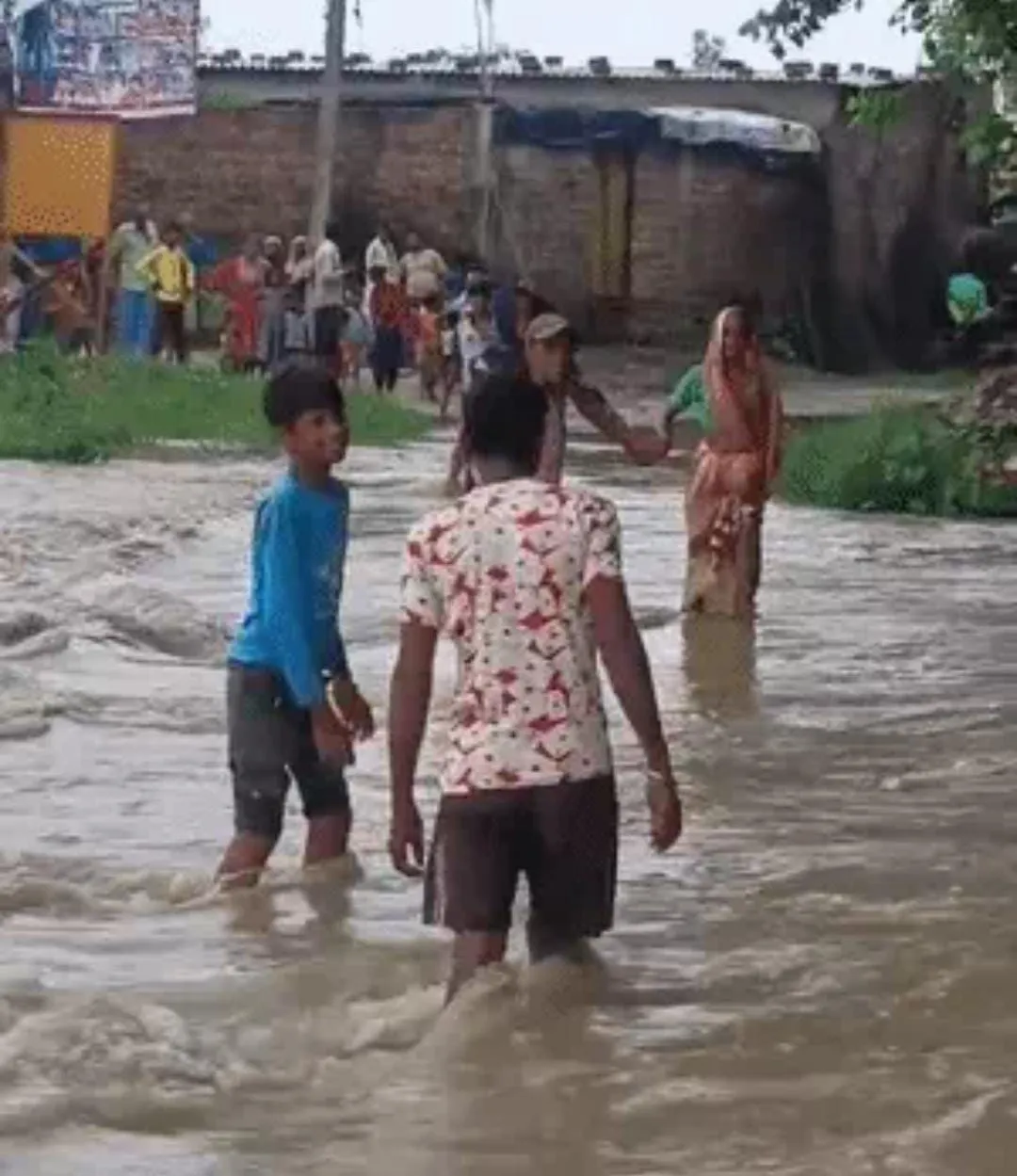 वाईवीएन