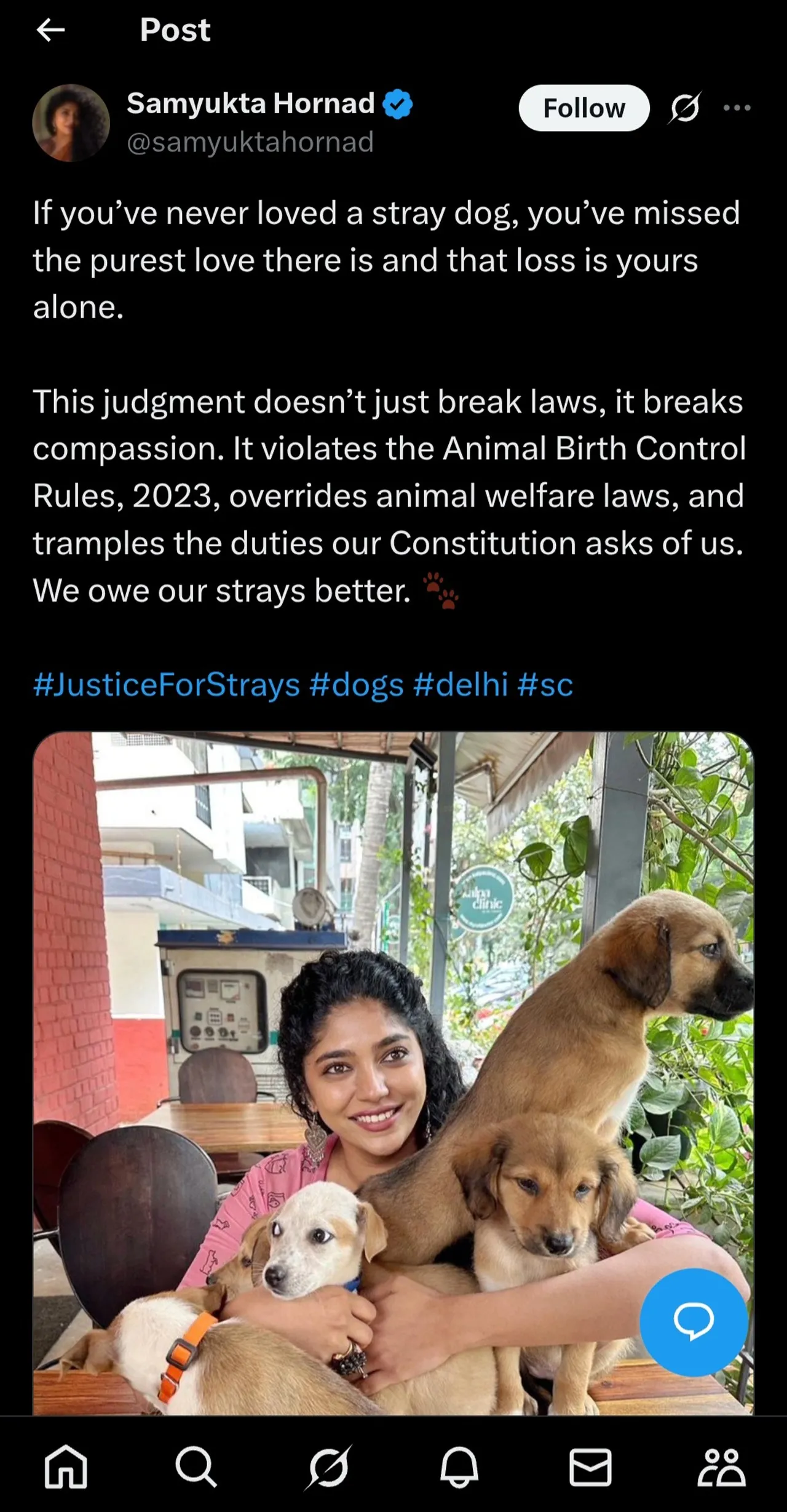 सोशल मीडिया पर नई जंग : स्ट्रे डॉग वार पर बहसबाजी तेज, प्रतिक्रियाएं पढ़कर हैरान रह जाएंगे | यंग भारत न्यूज