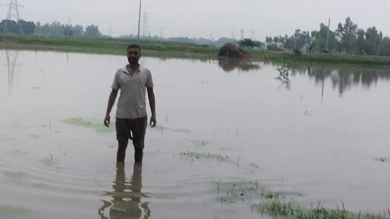 खेतों में जलभराव का दृश्य