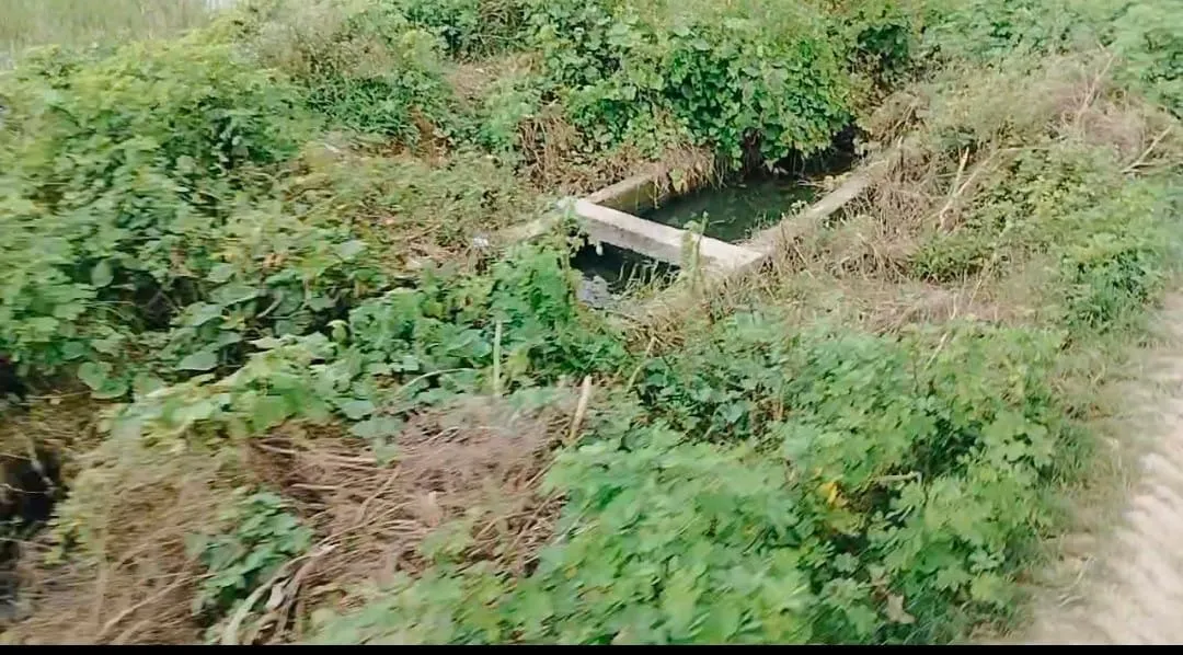 दिउरिया से हथौडा की सीमा की ओर से जाने वाले नाला, इसी की सफाई का किया जा रहा दावा
