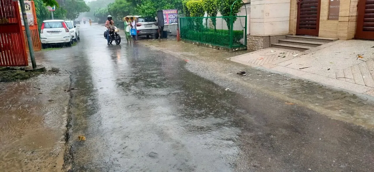 वाईबीएन