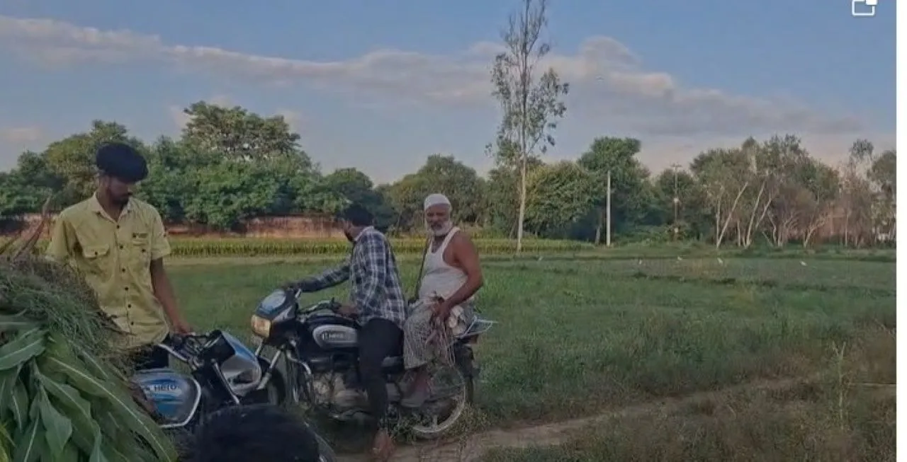 वाईबीएन