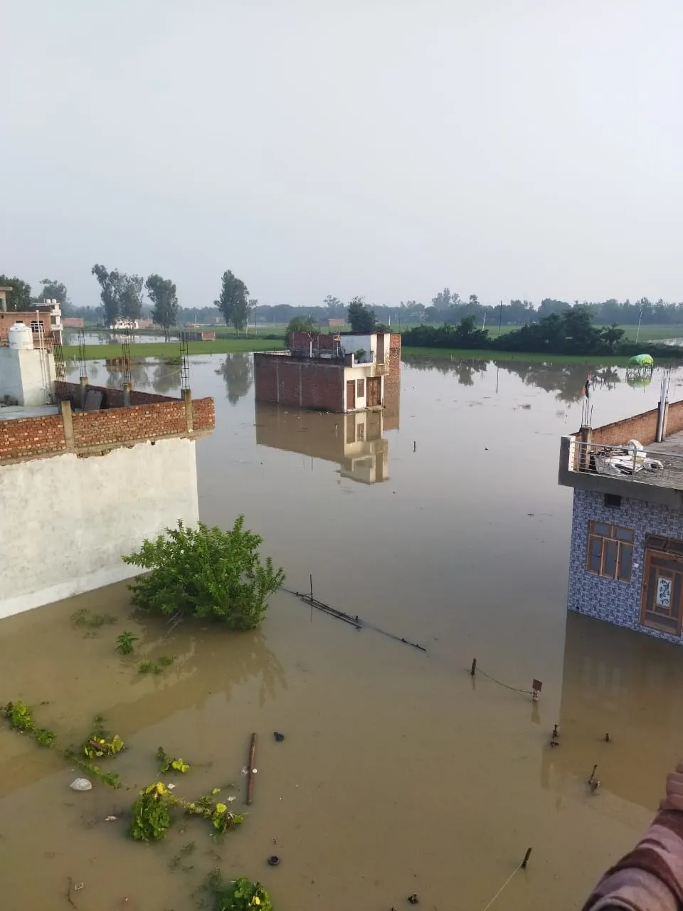 बरेली मोड आवास विकास कालोनी के पास हरीपुरम कालोनी में बाढ का दृश्य