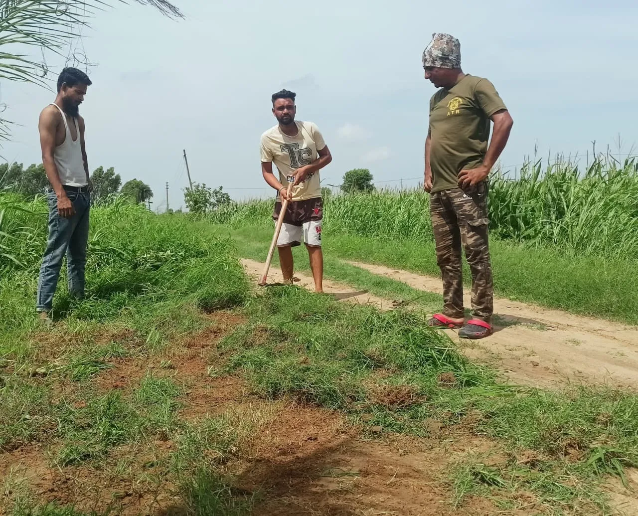 वाईबीएन