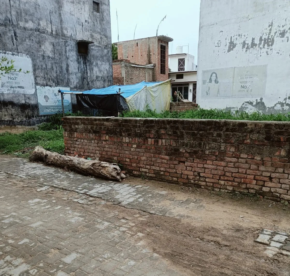 WhatsApp Image 2025-10-15 at 5.55.49 PM
