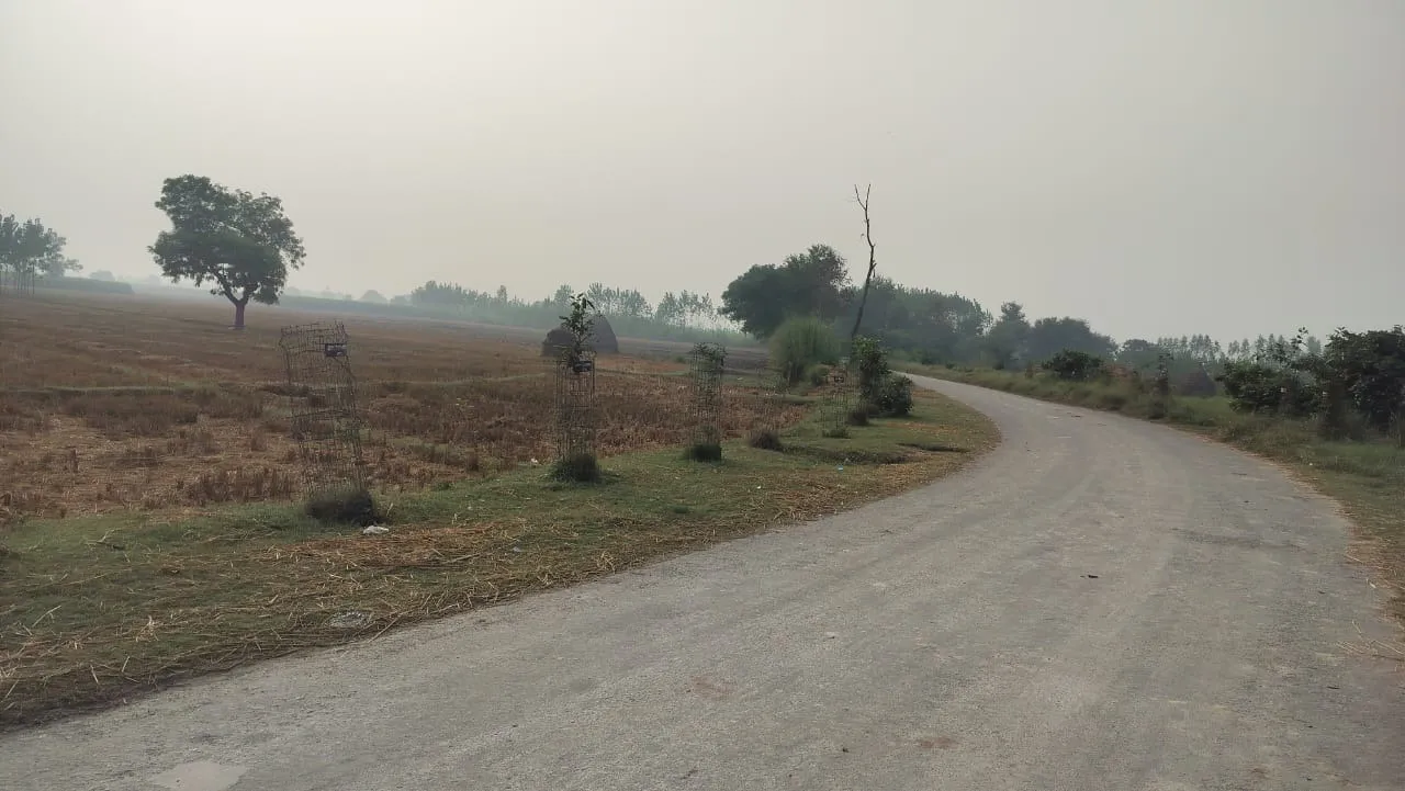 शाहजहांपुर मौसम अपडेट: सुबह धुंधलका, दिन में निकलेगी धूप, बढ़ेगी ठंड का एहसास