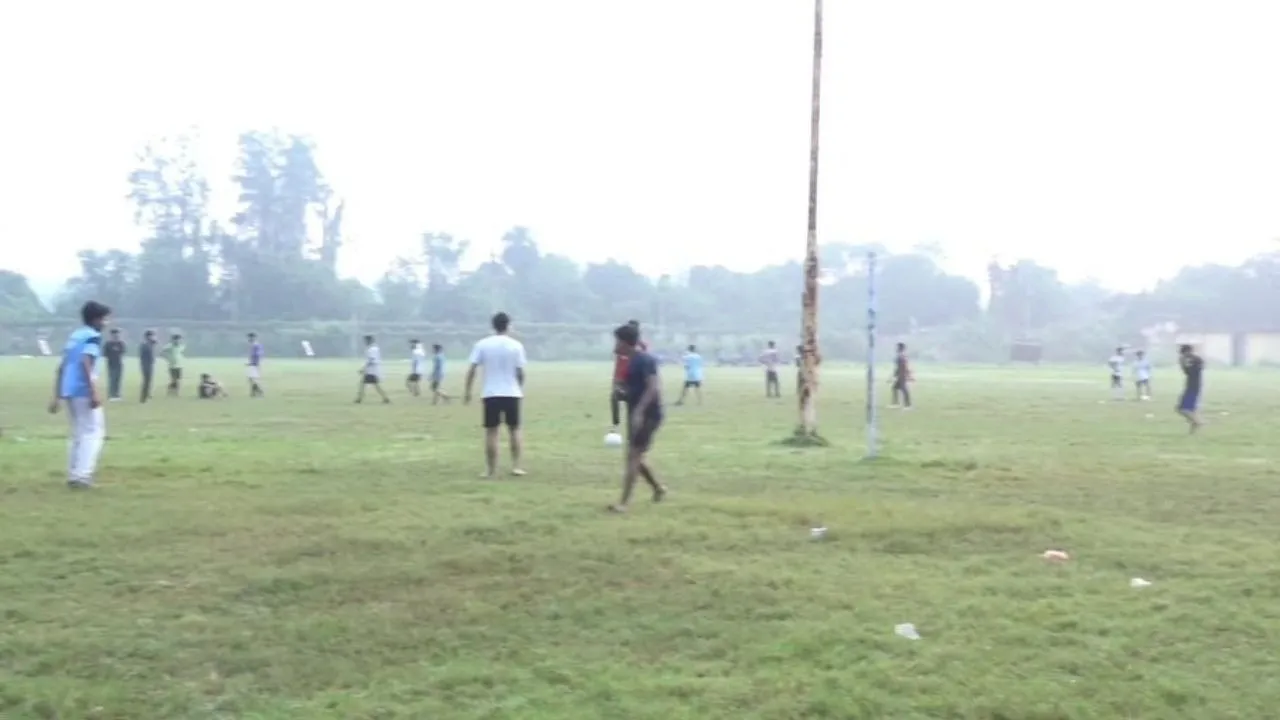 saf field