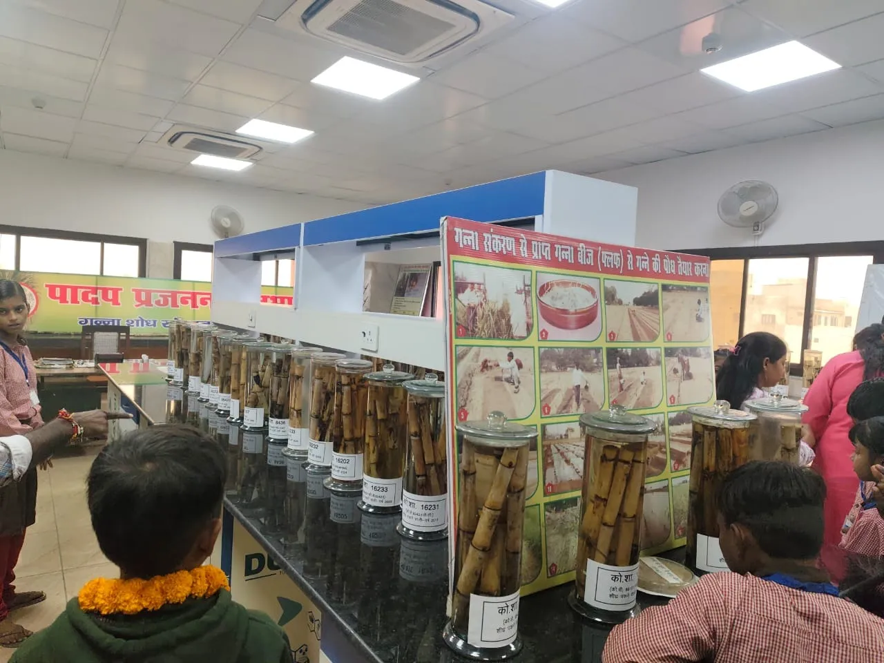 उत्तर प्रदेश गन्ना शोध परिषद में गन्ना की प्रजातियों और उनके विकास की जानकारी लेते दिव्यांग बच्चे