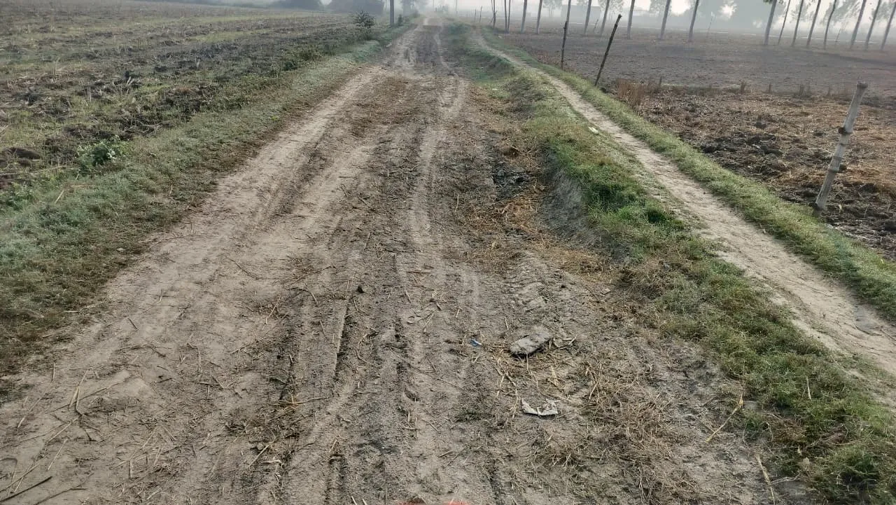 नरेगा के नाम पर खानापूर्ति! तुर्कीखेड़ा–सरसम रोड अब भी कच्चा