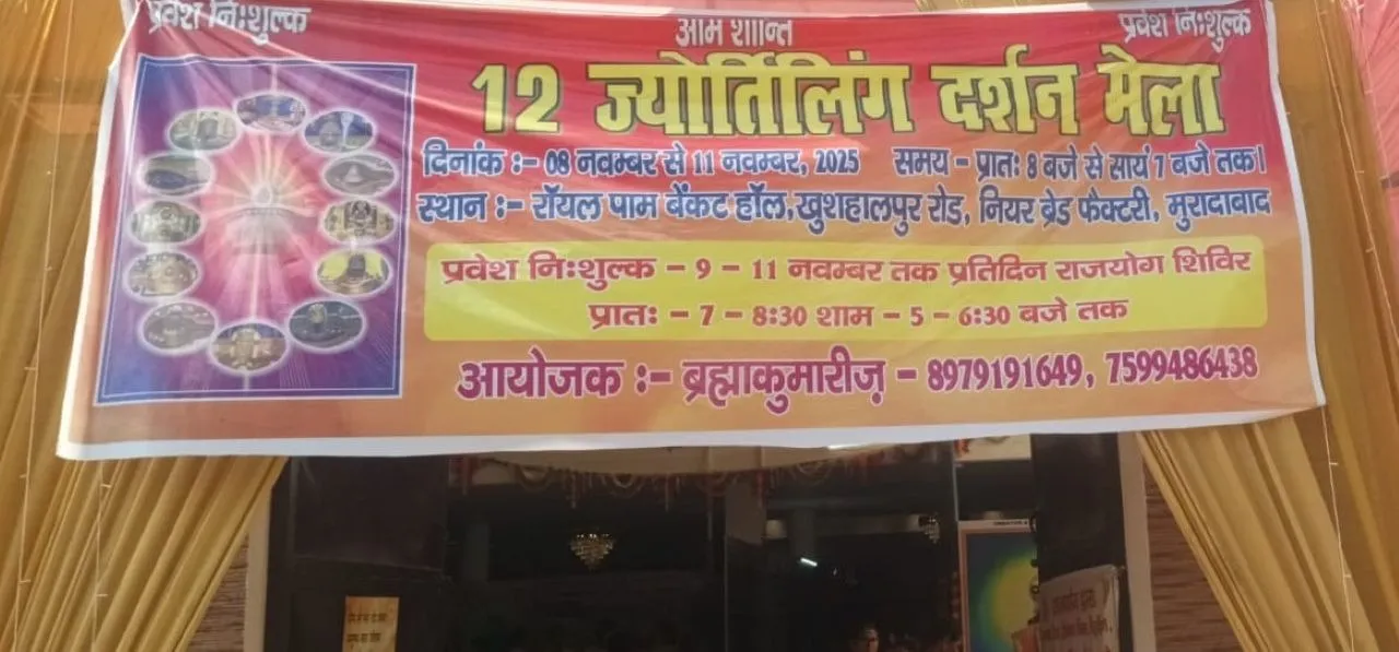 वाईबीएन