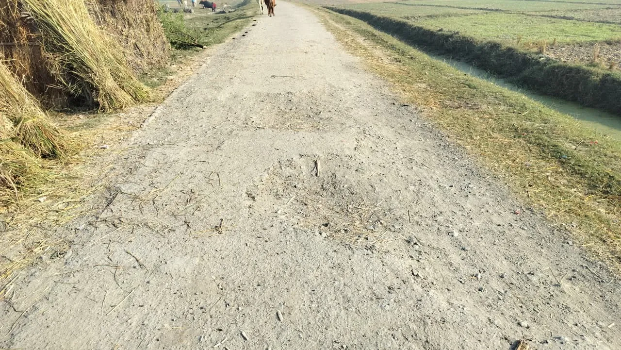 तुर्की खेड़ा से सहजन वन मार्ग की हालत बदतर, महीनों से टूटी सड़क बनी परेशानी का कारण