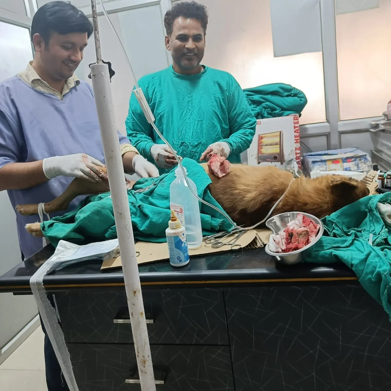 घायल कुत्ते का उपचार करते ओसीएफ की प्रधान चिकित्साधिकारी डा दीप्ति सिंह के पति डा अजय कुमार यादव