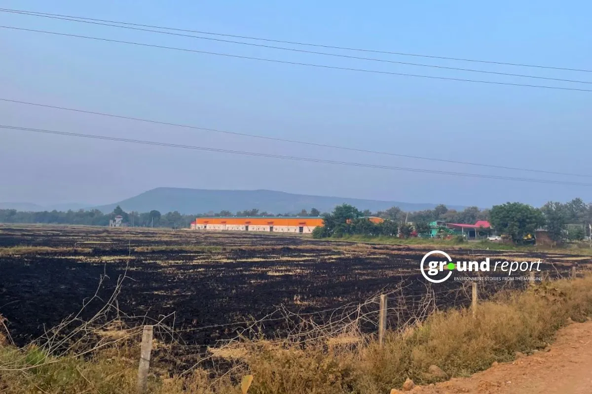 Stubble Burning in Madhya Pradesh