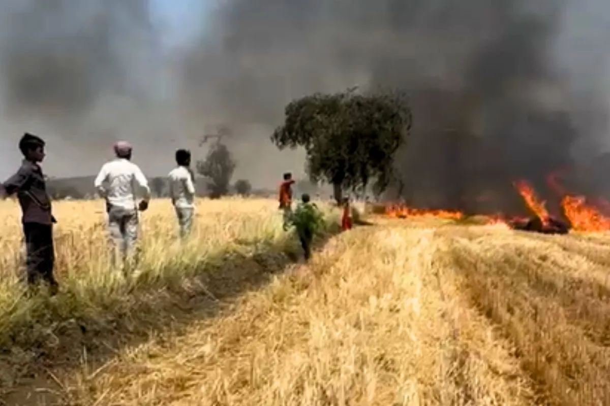 Farmers trying to extinguish fires in their farmland