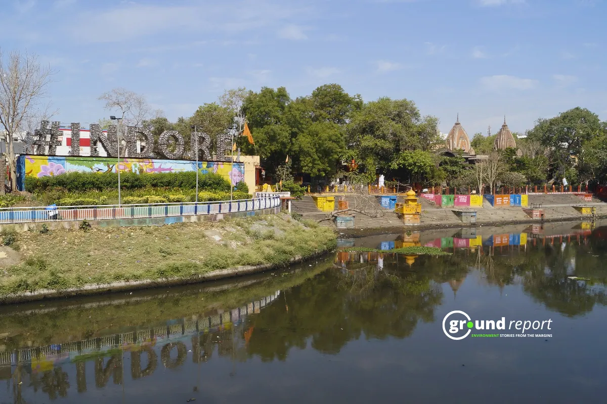 Indore lake tree 2